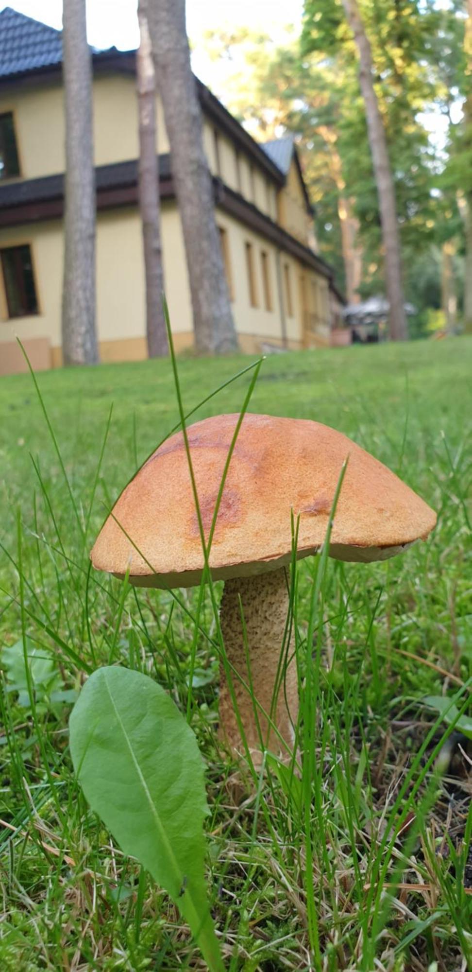 Villa Toskana Pogorzelica  Kültér fotó